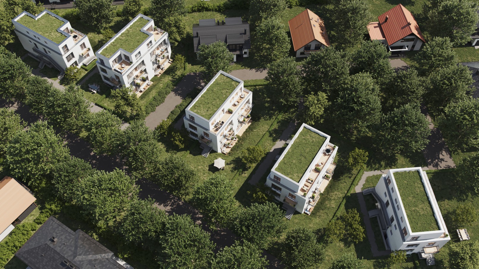 Vogelperspektive auf 5 Häuser mit begrüntem Dach